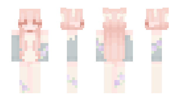 Minecraft skin himeco