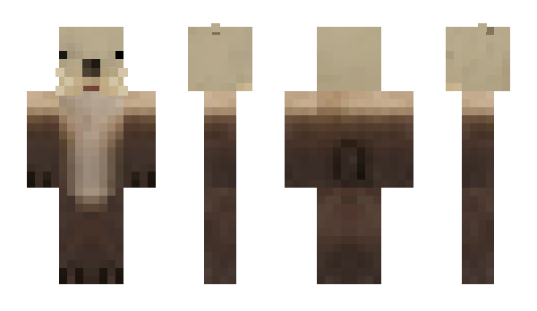 Minecraft skin Ujju