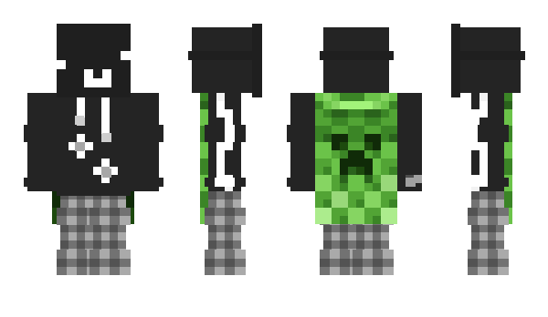 Minecraft skin tempifly