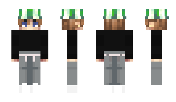 Minecraft skin Apickl