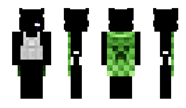 Minecraft скин по нику Vipral