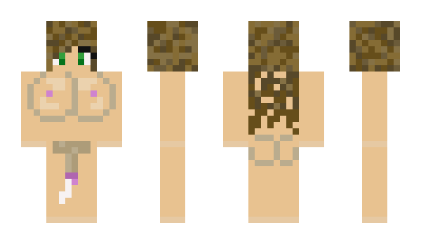 Minecraft skin Pokect