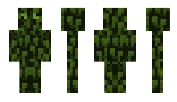 Minecraft skin Mikeyty