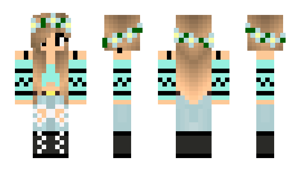 Minecraft skin kopig