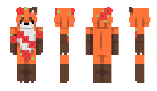 Minecraft skin DUCKCOOK