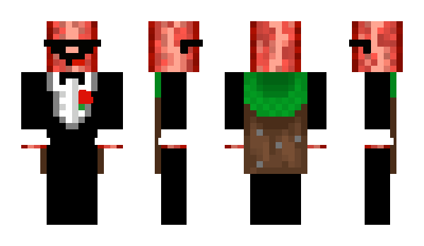 Minecraft skin Fachx