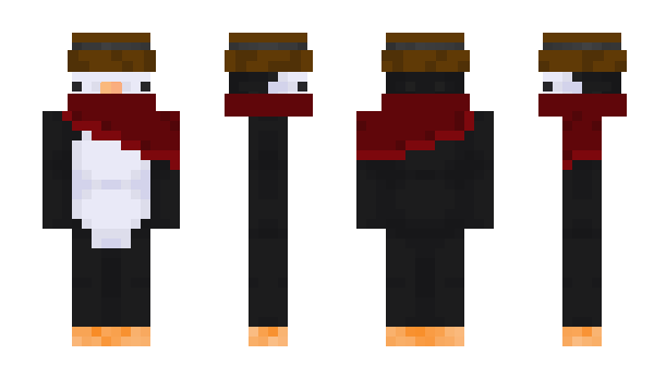 Minecraft skin WhiskerWiz