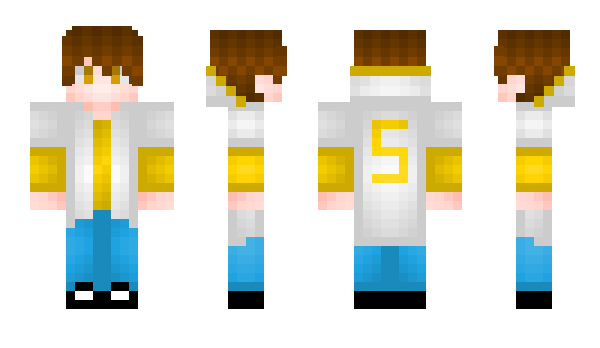 Minecraft skin Saulor