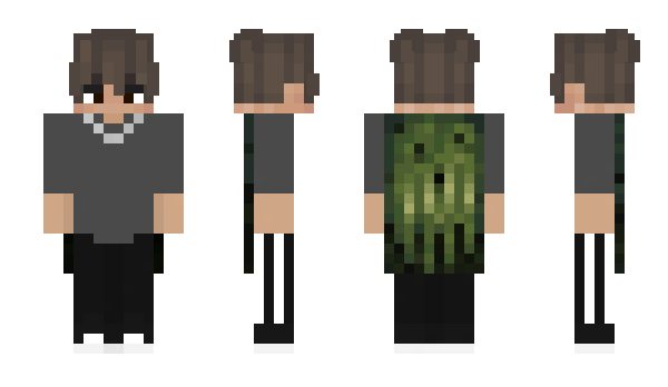 Minecraft скин по нику ocupados