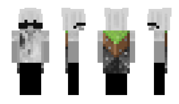 Minecraft skin Larozs