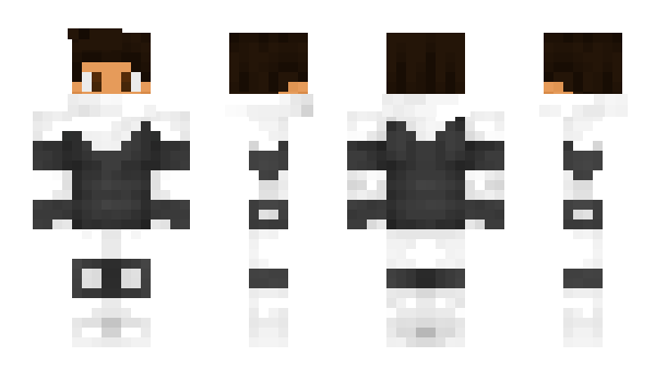 Minecraft skin Seyle