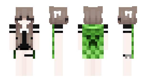 Minecraft skin MESTRIDO