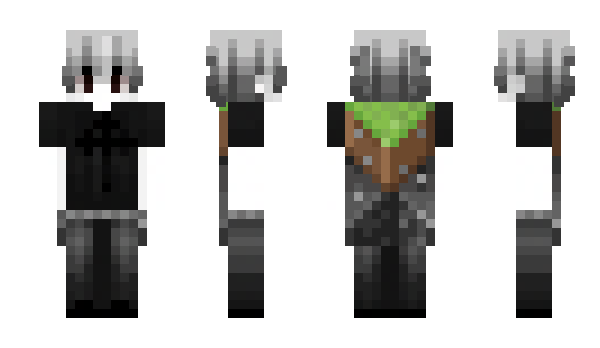 Minecraft skin rier3n