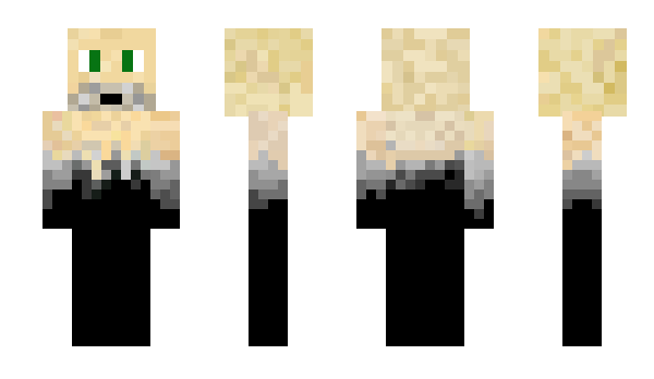 Minecraft skin ElOcelote