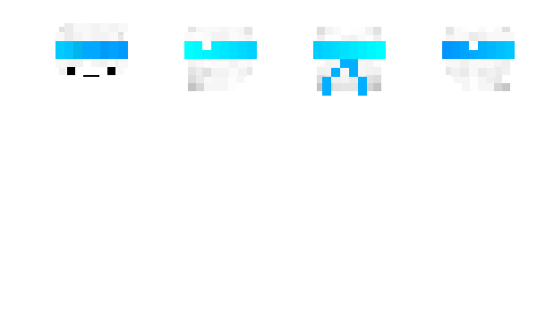 Minecraft skin craftermlg