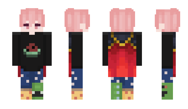 Minecraft skin everwhere