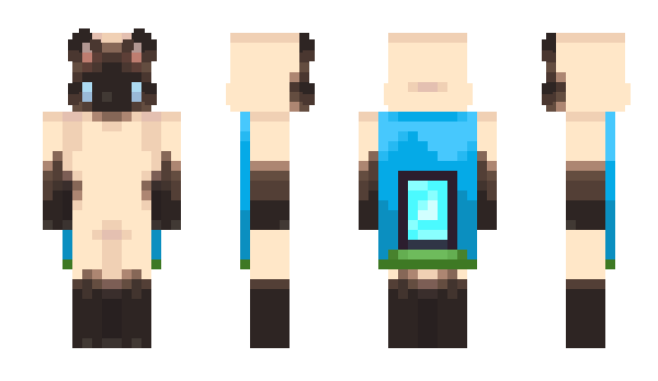 Minecraft skin SoILikeNoodles