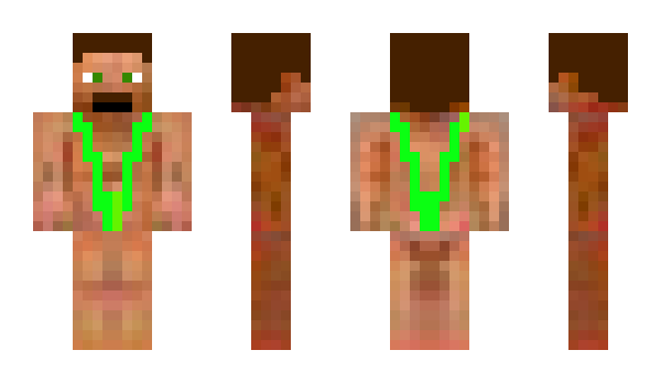 Minecraft skin lptalkcomm55
