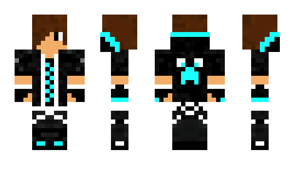 Minecraft skin 331199