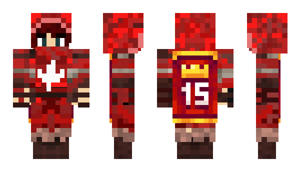 Minecraft скін по ніку RogueGecko55