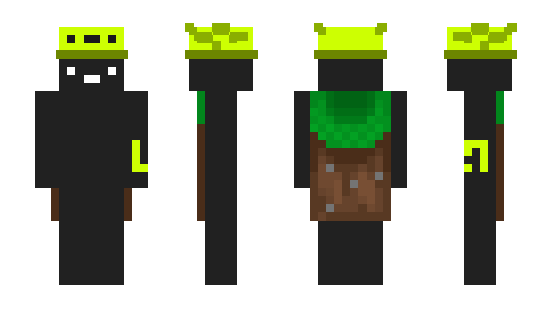 Minecraft скин по нику EdiDG