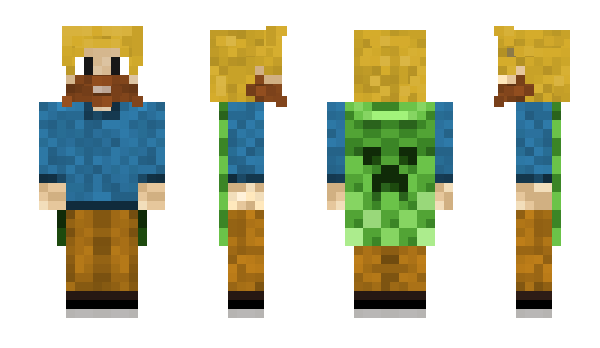 Minecraft skin dnoate