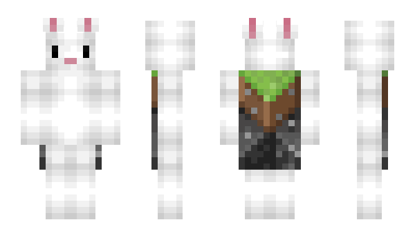 Minecraft skin Fohrmster