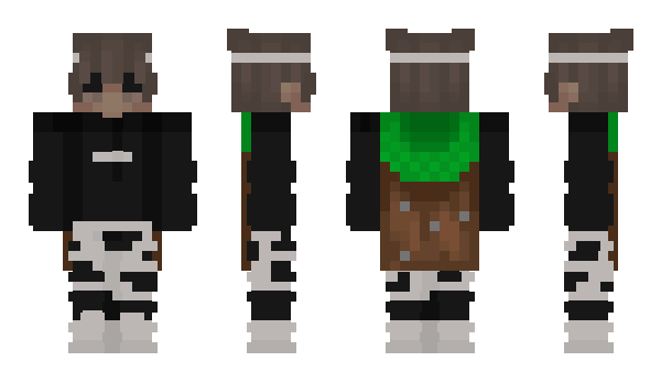 Minecraft skin Roowi