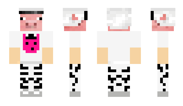 Minecraft skin poLarJE