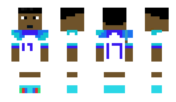 Minecraft skin SakaFan