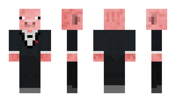 Minecraft skin Reportador