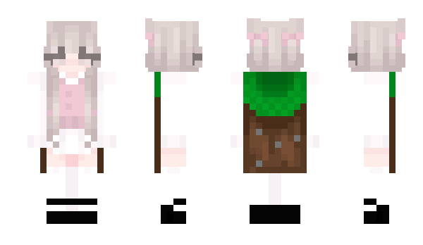 Minecraft skin raalzes