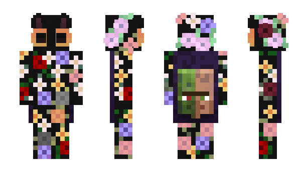 Minecraft skin cdisk