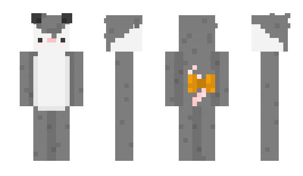 Minecraft skin OpossumTeaParty