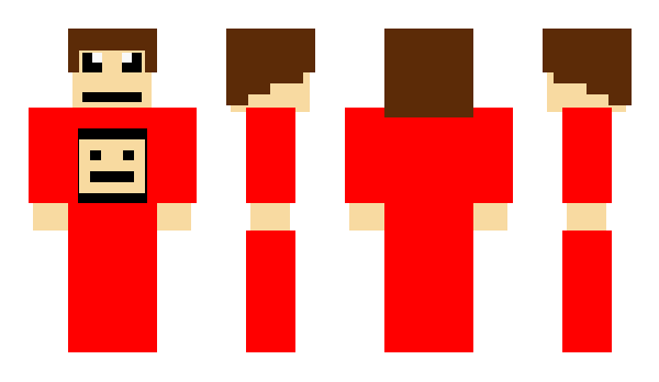 Minecraft skin tornalde