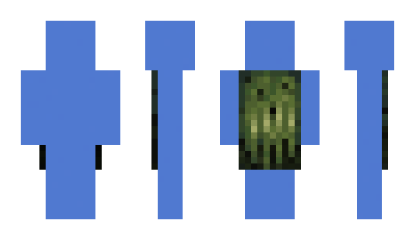 Minecraft skin FNV_