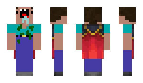 Minecraft skin vilmli