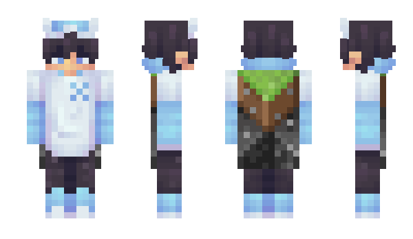 Minecraft skin sn0wfalling