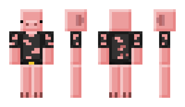 Minecraft skin _peqch_