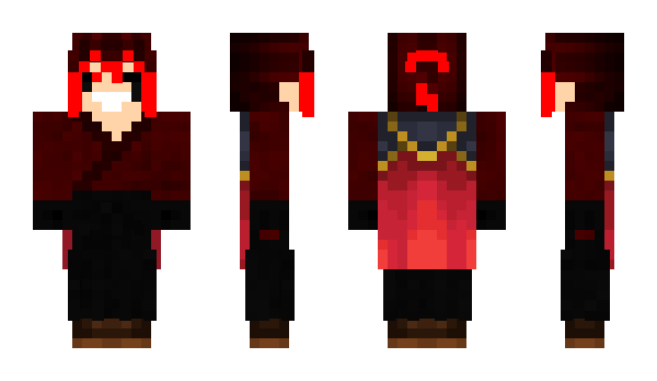 Minecraft skin _Akou