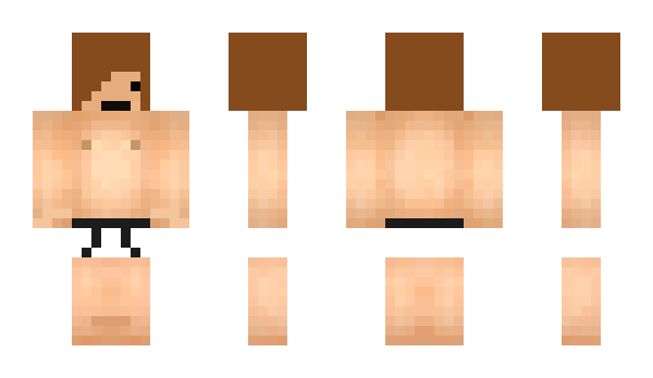 Minecraft skin Surplex