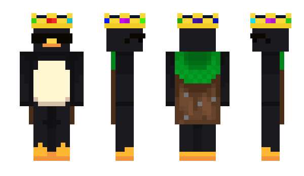 Minecraft skin RealPenguu