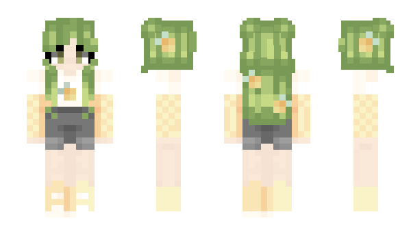 Minecraft skin xmiriellex