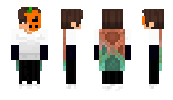 Minecraft skin FaysP