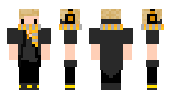 Minecraft skin SLH1