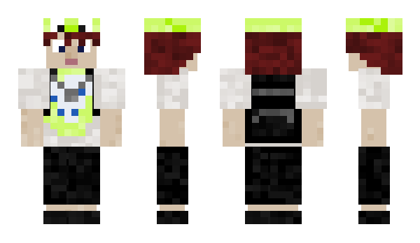 Minecraft skin Virtsanen