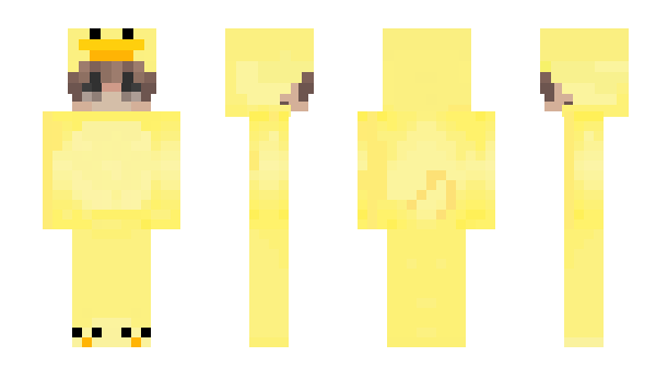 Minecraft skin declantheduck