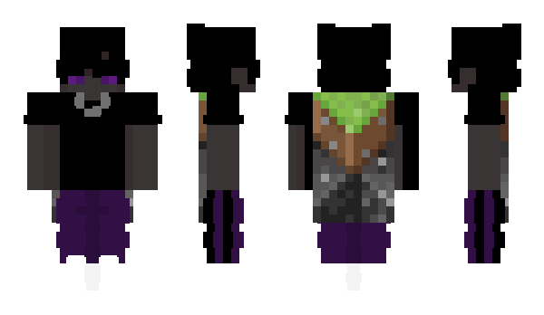 Minecraft skin Hasjdealer