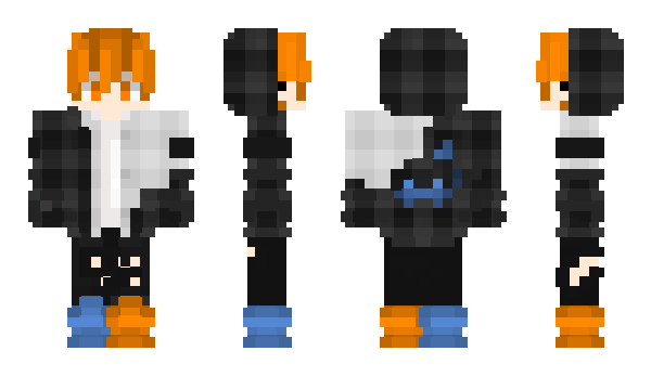 Minecraft skin PlaNem249