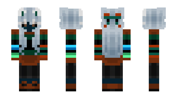 Minecraft скин по нику 304Accepted